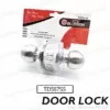 Blossom Cylindrical Passage Lock Set TD587SS