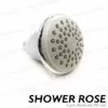 Single Spray Shower Rose